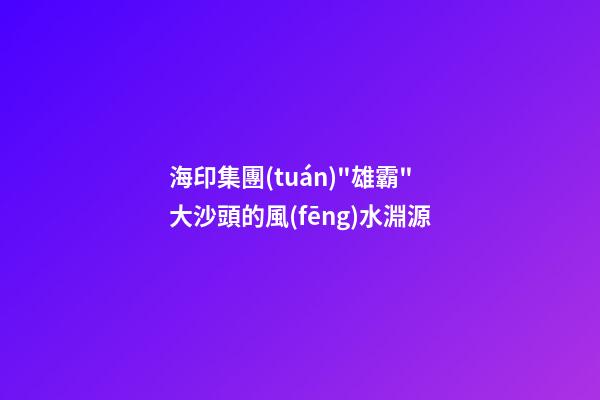海印集團(tuán)"雄霸"大沙頭的風(fēng)水淵源